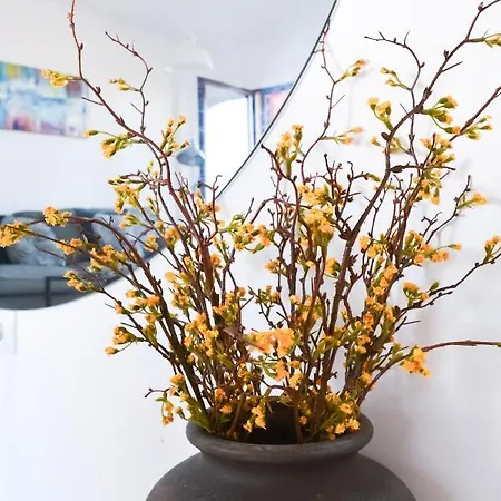 Adela Homes By Holidays Fuerteventura *